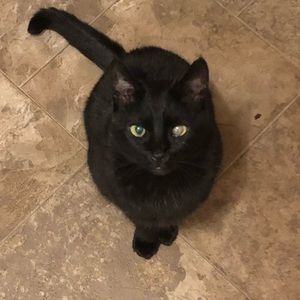 Meet your Posher, Rebecca